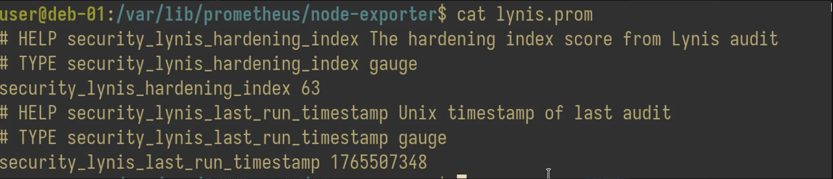 lynis-prom-host-metrics.png